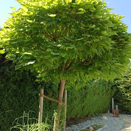 Welcome To By Martina