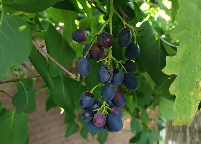 Welcome To By Martina Accommodatie bij particulieren