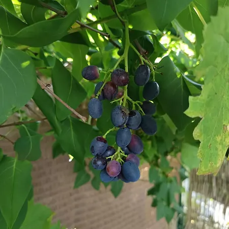 Welcome To By Martina Kwatera prywatna