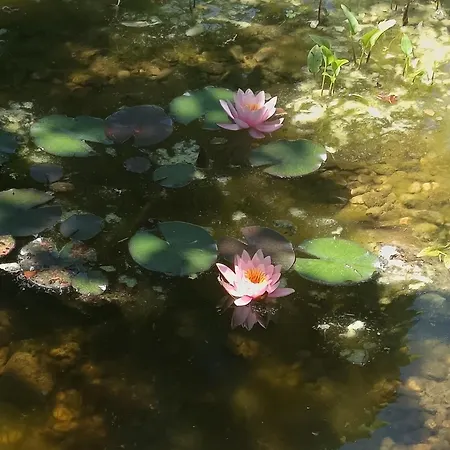 Welcome To By Martina Kwatera prywatna *