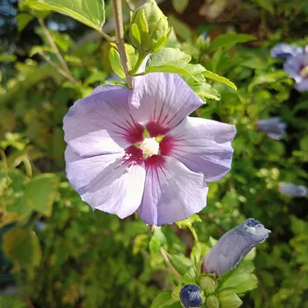 Kwatera prywatna Welcome To By Martina Monachium